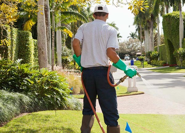 About Conley GA Pest Control Pros